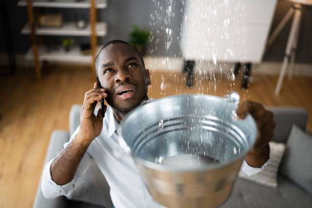 Best Basement water damage restoration  in Seaside Heights, NJ