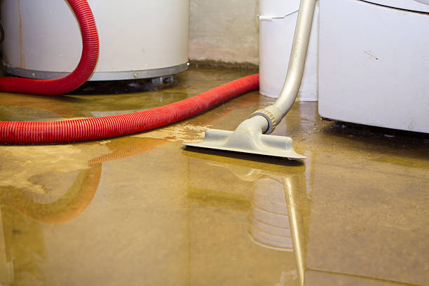 Best Flood restoration services  in Seaside Heights, NJ