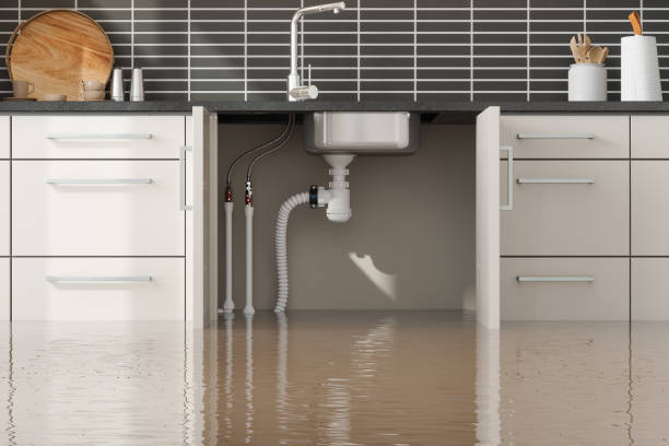 Best Water damage restoration near me  in Seaside Heights, NJ