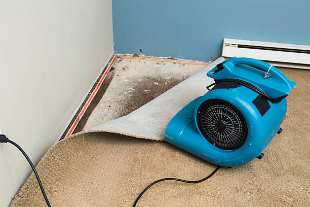 Best 24/7 water damage repair  in Seaside Heights, NJ